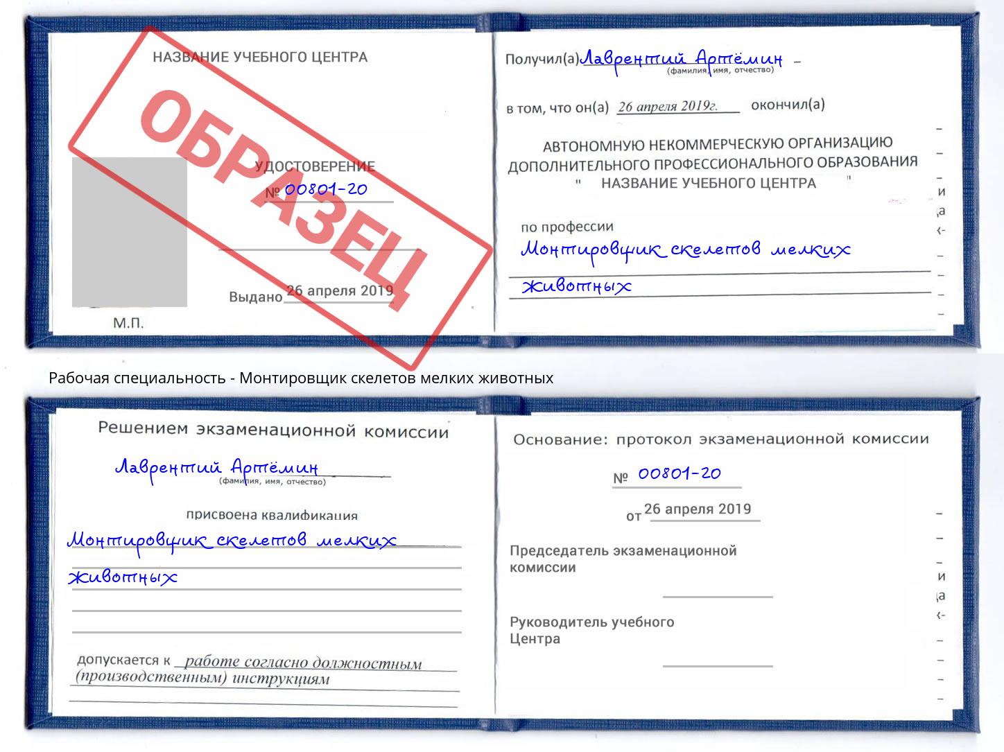Монтировщик скелетов мелких животных Вятские Поляны