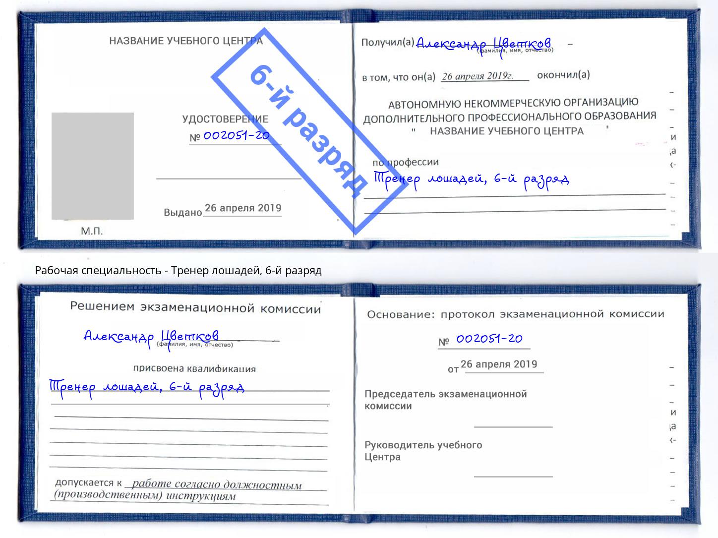 корочка 6-й разряд Тренер лошадей Вятские Поляны