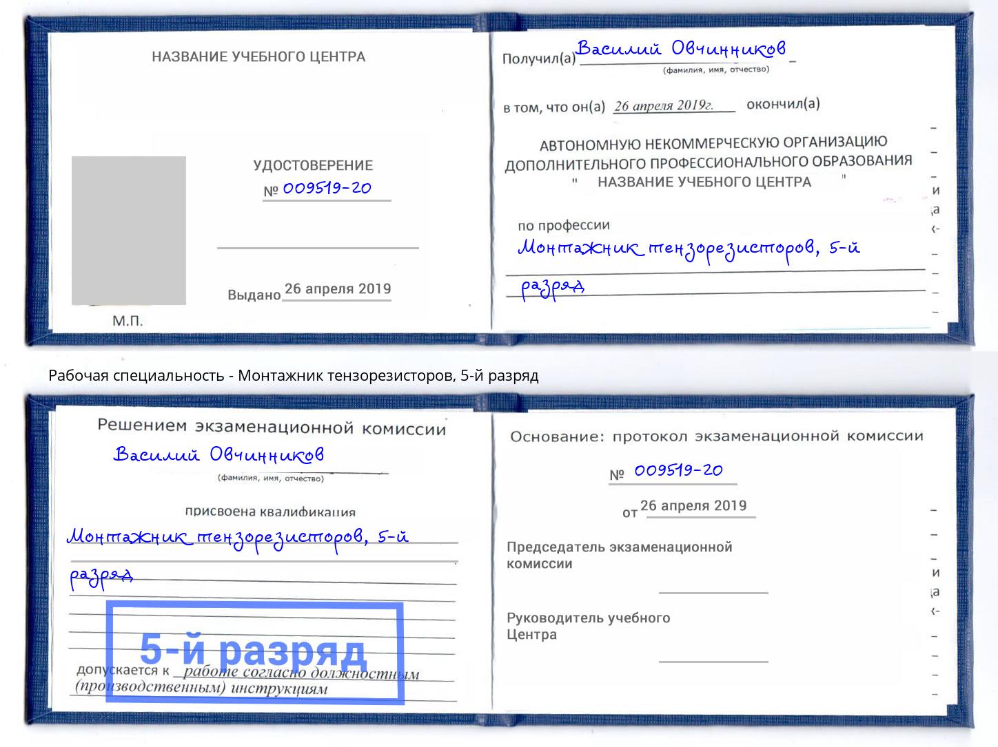 корочка 5-й разряд Монтажник тензорезисторов Вятские Поляны