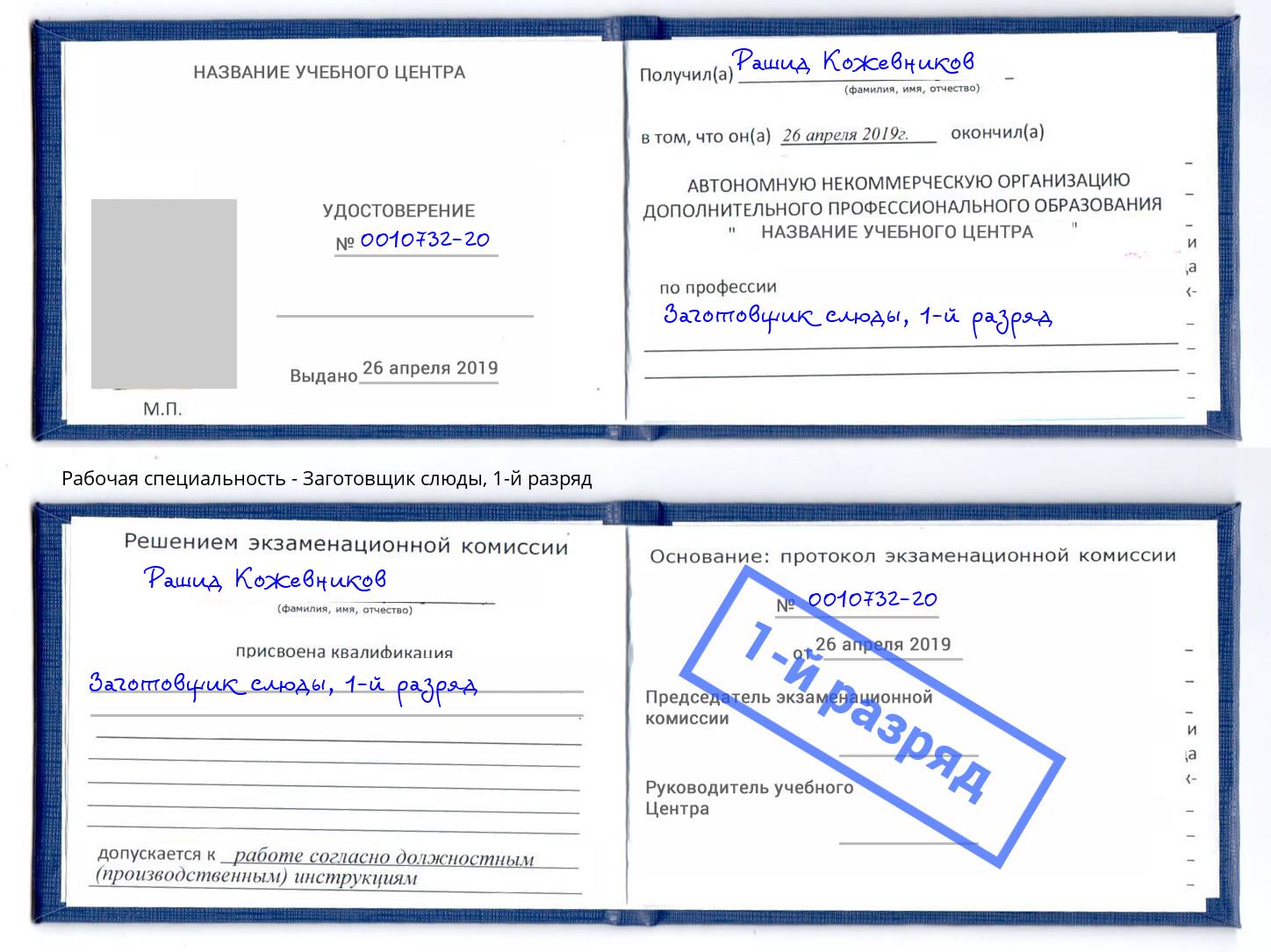 корочка 1-й разряд Заготовщик слюды Вятские Поляны